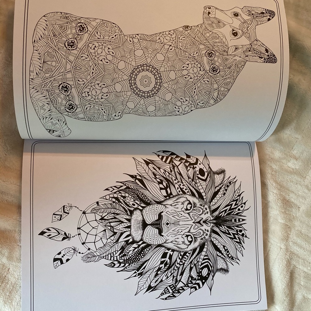 Amazing Animals Coloring Book - Picture 4 of 5